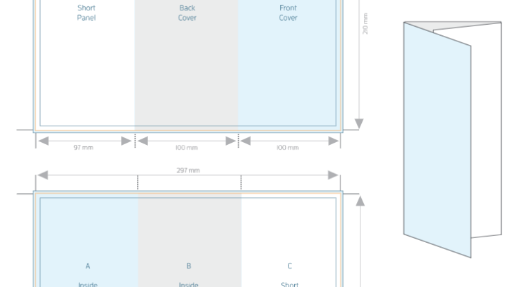 Tri-Fold Brochure Size